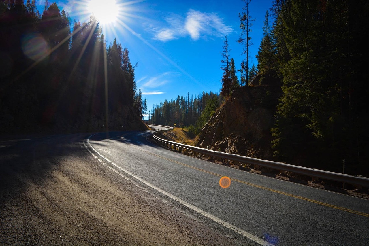 Scenic, winding mountain road bathed in sunlight, surrounded by tall pine trees under a vibrant blue sky.
